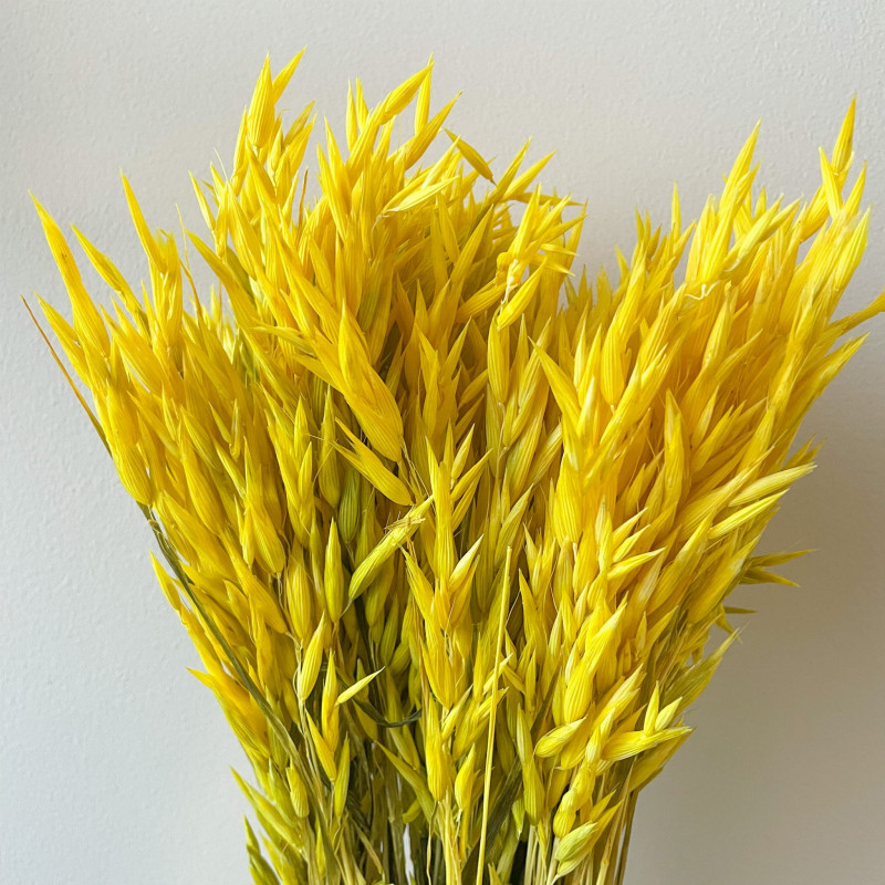 Getrocknete Blumen Kuchendekoration Lametta gebleicht 20 Zweige