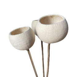 Sušené květiny Dekorace na dort Sušený ZVONEK 1 ks. bílý