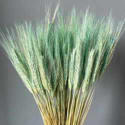 Getrocknete Blumen Kuchendekoration Lametta gebleicht 20 Zweige Getrocknete Blumen Kuchendekoration Lametta gebleicht 20 Zweige