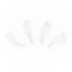 Piórka dekoracyjne 50 szt. białe krótkie