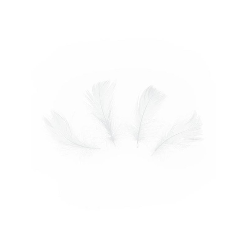 Piórka dekoracyjne 50 szt. białe krótkie