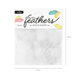 Decorative feathers 6 pieces gold lace