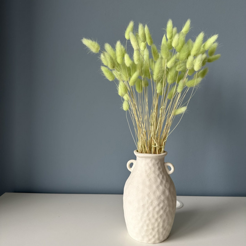 Dried flowers Cake decoration Dried LAGURUS pistachio 20 branches