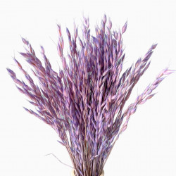 Getrocknete Blumen Tortendekoration Lametta gelb 20 Zweige Getrocknete Blumen Tortendekoration Lametta gelb 20 Zweige