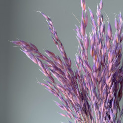 Getrocknete Blumen Tortendekoration Lametta gelb 20 Zweige