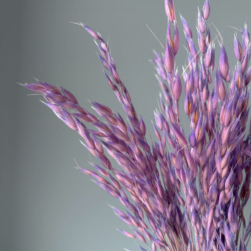 Getrocknete Blumen Tortendekoration Lametta gelb 20 Zweige