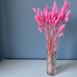 Dried flowers Cake decoration Tins LAGURUS dark pink 35 sprigs