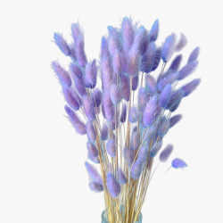 Suszone kwiaty Ozdoba na tort Suszki LAGURUS jasny fiolet 20 gałązek