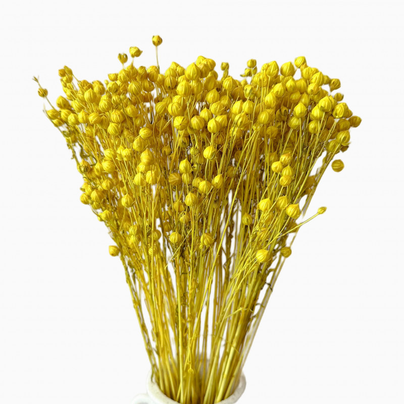 Suszone kwiaty Ozdoba na tort Suszki LEN żółty 10 gałązek