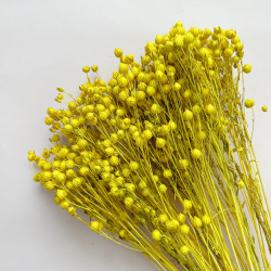 Getrocknete Blumen Tortendekoration Lametta gelb 10 Zweige