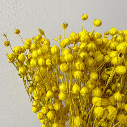 Getrocknete Blumen Tortendekoration Lametta gelb 10 Zweige