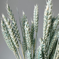 Getrocknete Blumen Tortendekoration Lametta blau 20 Zweige