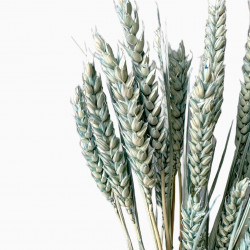 Getrocknete Blumen Tortendekoration Lametta blau 20 Zweige