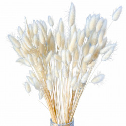 Getrocknete Blumen Tortendekoration Lametta LAGURUS gebleicht Getrocknete Blumen Tortendekoration Lametta LAGURUS gebleicht