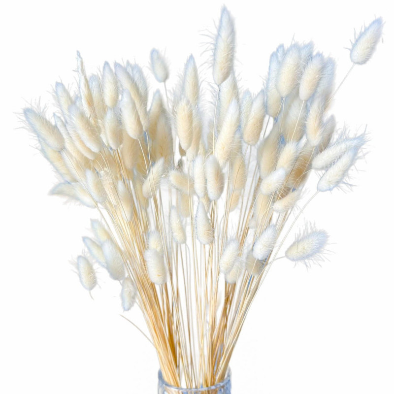 Suszone kwiaty Ozdoba na tort Suszki LAGURUS bielony 35 gałązek