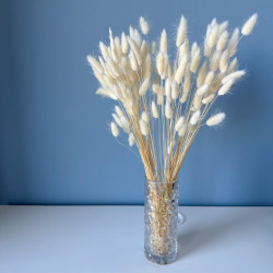 Suszone kwiaty Ozdoba na tort Suszki Lagurus bielony 20 gałązek