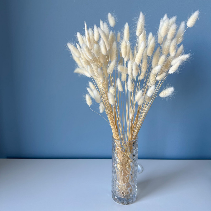 Suszone kwiaty Ozdoba na tort Suszki Lagurus bielony 20 gałązek