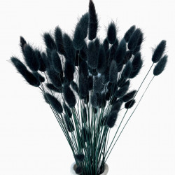 Suszone kwiaty Ozdoba na tort Suszki LAGURUS czarny 20 gałązek