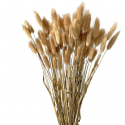 Suszone kwiaty Ozdoba na tort Suszki Lagurus naturalny 20 gałązek