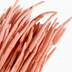 Getrocknete Blumen Tortendekoration Lametta blau 20 Zweige