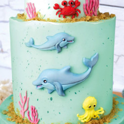 Katy Sue Seahorse silicone mould 4 designs