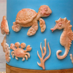 Katy Sue Seahorse silicone mould 4 designs
