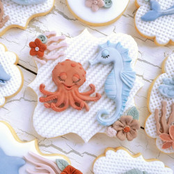 Katy Sue Seahorse silicone mould 4 designs