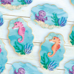 Katy Sue Seahorse silicone mould 4 designs