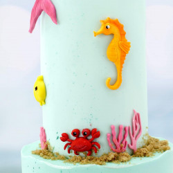 Katy Sue Seahorse silicone mould 4 designs