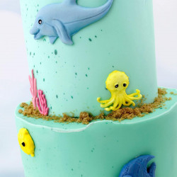 Katy Sue Seahorse silicone mould 4 designs