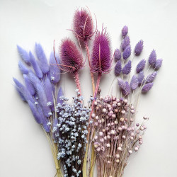 Getrocknete Blumen Kuchendekoration Dosen PHALARIS lila 25 Zweige