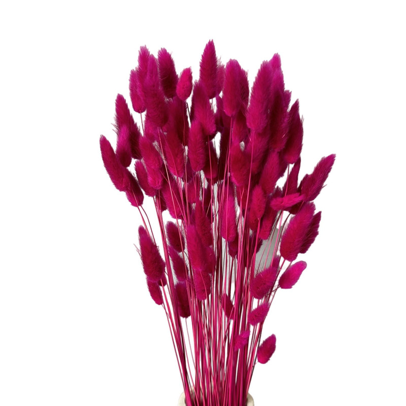 Dried flowers Cake decoration Tins LAGURUS light purple 35