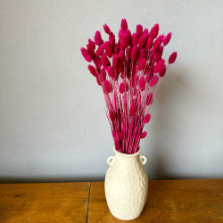 Dried flowers Cake decoration Dried PHALARIS fuchsia 25 twigs
