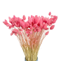 Getrocknete Blumen Tinsel Tortendekoration PHALARIS rosa 25