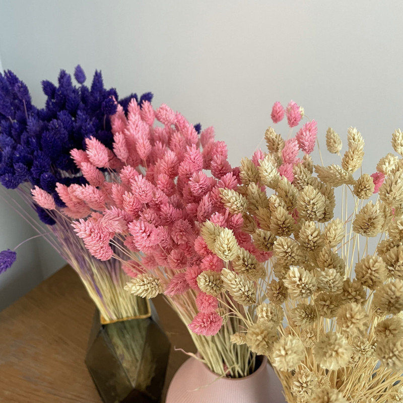 Suszone kwiaty Ozdoba na tort Suszki PHALARIS różowy 25 gałązek