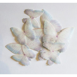 Motyle waflowe CC Delikatne 22 szt Ethereal