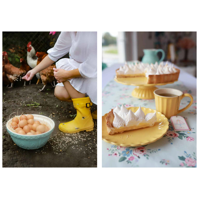 Książka SUGAR WONDERLAND Spring Jowita Woszczyńska