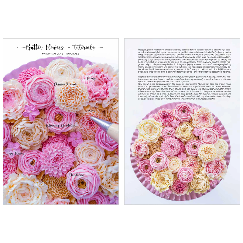 Buch SUGAR Fairy Tales Jowita Woszczynska