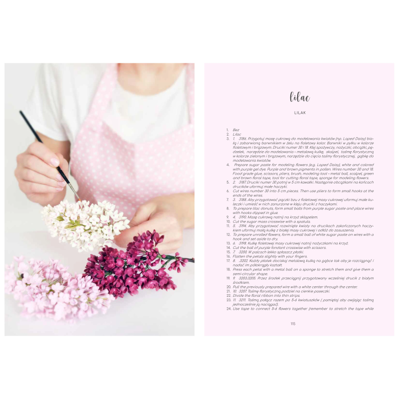 Buch SUGAR Fairy Tales Jowita Woszczynska