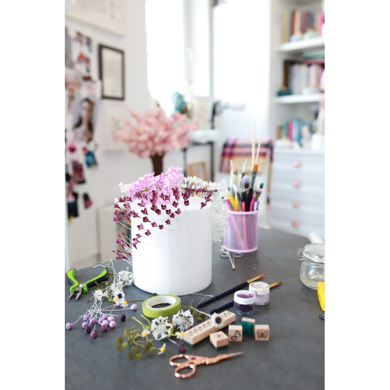 Książka SUGAR WONDERLAND Spring Jowita Woszczyńska