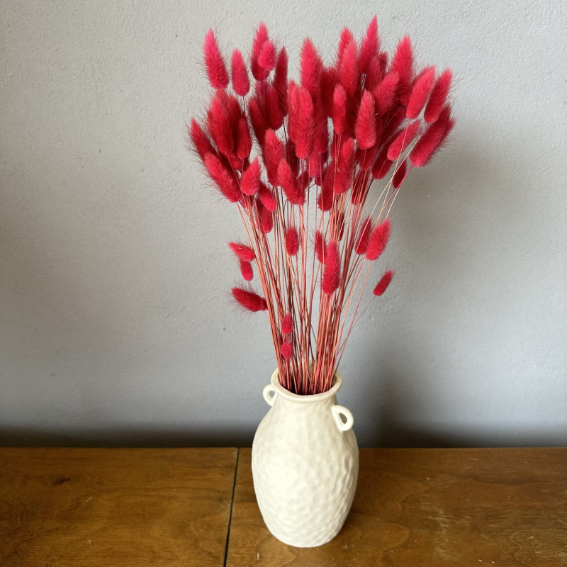 Suszone kwiaty Ozdoba na tort Suszki Lagurus czerwony magenta 20 gałązek