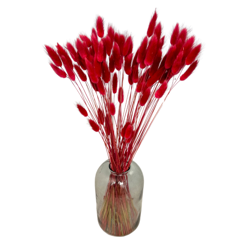 Suszone kwiaty Ozdoba na tort Suszki Lagurus czerwony magenta 20 gałązek