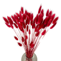 Suszone kwiaty Ozdoba na tort Suszki Lagurus czerwony magenta 20...