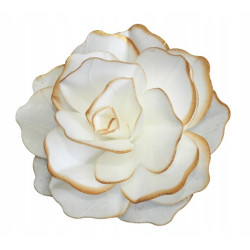FLOWER WITH WHEEL Pastella Rose 12 cm gold border