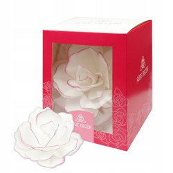 KVĚTINA S KOLEČKEM Pastella Rose 12 cm růžový okraj