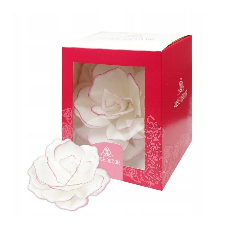 KVĚTINA S KOLEČKEM Pastella Rose 12 cm růžový okraj