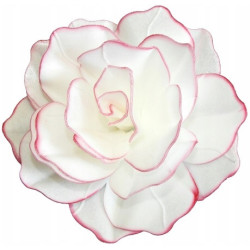 Wafer Flower Pastellrose 12 cm rosa Rand
