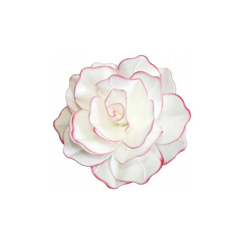 Oblátkový kvet Pastella Rose 12 cm ružový okraj