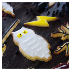 Decora dinosaur moulds 2 pcs.