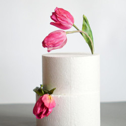 Styrodek Styropor-Tortenattrappe 20cm x 10cm